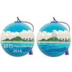 Christmas Balls,Custom Design Logo Promotional Christmas Ornaments, Customized Logo Ornaments Ball