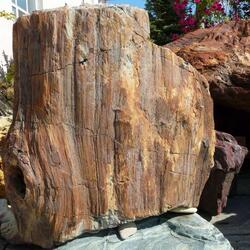 Декоративный природный камень валун кварцита колотый Окаменелое дерево