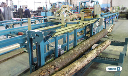 Линия распиловки древесины диаметром до 900 мм.