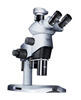Микроскопы (стерео, операционные, прямые световые, инвертированные)