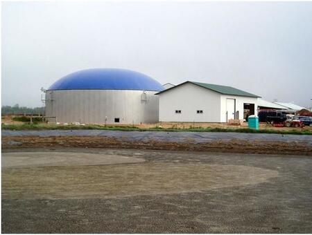 Биогазовые установки для переработки отходов сельского хозяйства, свиноферм, птицефабрик с получением энергии, тепла и биоудобрения.