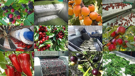 Продам оборудование для переработки овощей, фруктов и ягод.