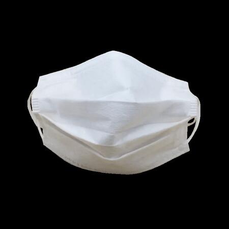Disposable Protective Mask