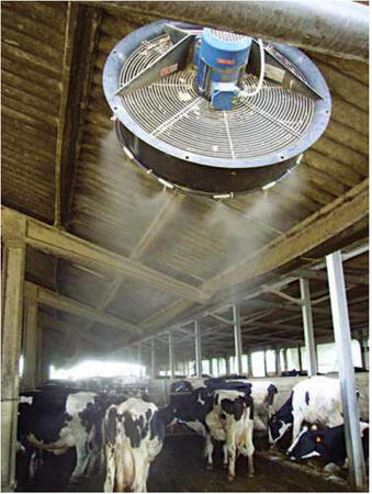 Системы туманообразования для производства молока