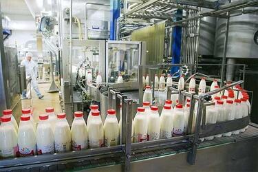 В Самарской области открылся молочный завод производительностью 140 тонн молока