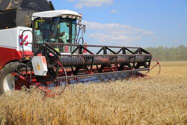 У Ростовской области самый высокий показатель по урожаю зерна в России