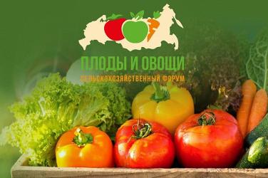 Итоги III сельскохозяйственного форума «Плоды и овощи России - 2021»