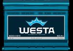 Аккумуляторы Westa Premium
