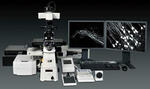 Мультифотонный микроскоп A1 MP+/A1R MP+ производства Nikon (Япония)