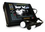 Сканеры ультразвуковые портативные для лошадей ANIMALprofi L (УЗИ сканер с линейным зондом)