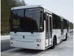 Автобусы городские НЕФАЗ-5299-0000020-33 с местами для инвалидов