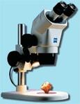 Стереомикроскоп Stemi 2000 (2000C)