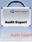 Аналитическая система Audit Expert