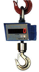 Весы крановые электронные стандарт DIN 102 TSG