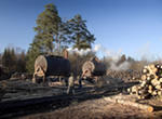 Оборудование для производства  и переработки древесного угля