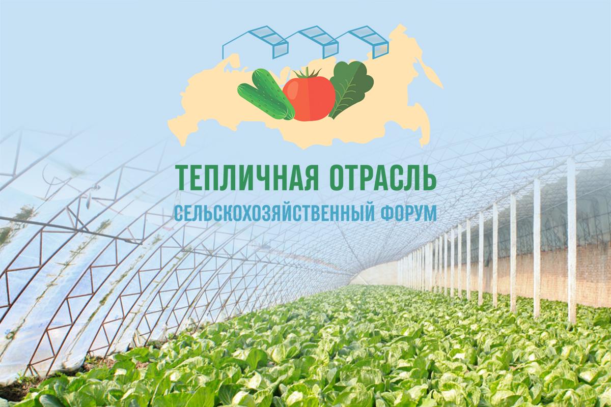 Современные технологии упаковки на тепличном производстве Современные технологии упаковки на тепличном производстве
