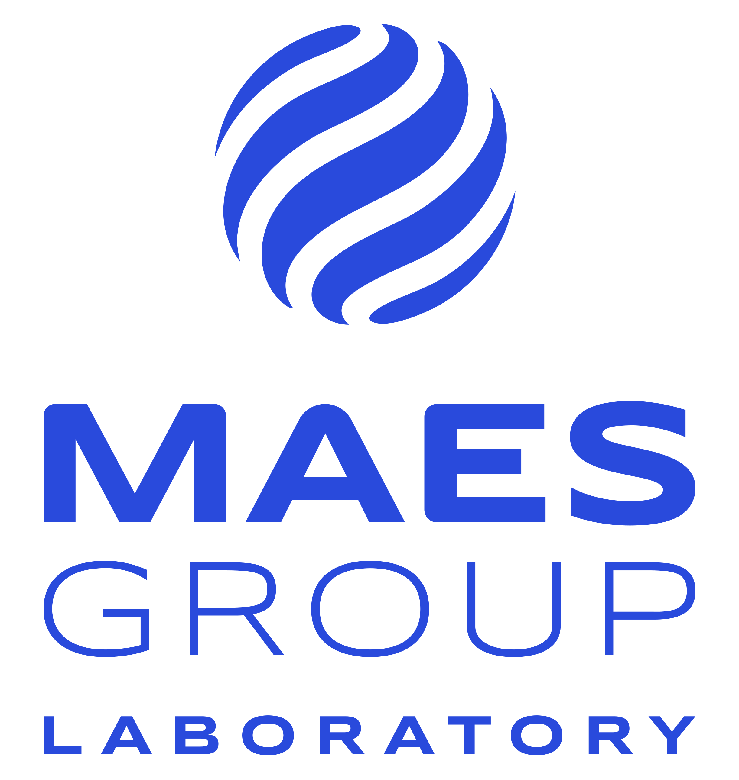 MAES GROUP