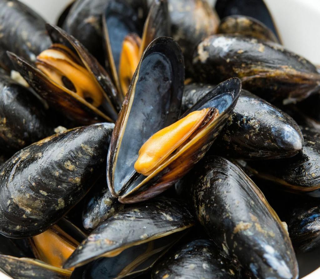 Рыбохозяйственный комплекс Краснодарского края: итоги 2025 года и планы на 2026