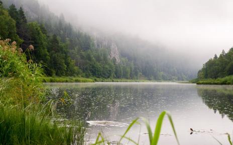 Тяжелые металлы в сточных водах Тяжелые металлы в сточных водах
