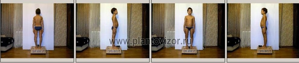 «Цифровой фотометрический АПК «ПлантоВизор Синди Грация Кузнецова С.В. 2012©»Программное обеспечение «Каноны Красоты и Гармонии 2012г.» с интегрирующей технологией модульной комплектациии по Кузнецову С.В 2001-2012 г.г ©».