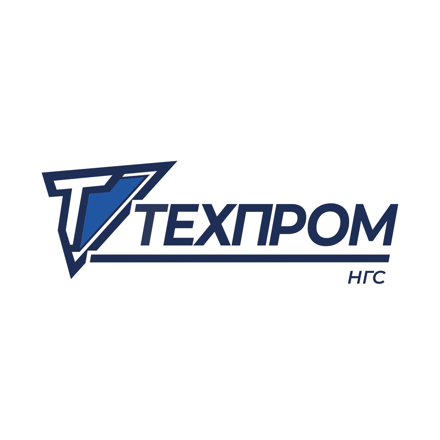 ТЕХПРОМ-НГС