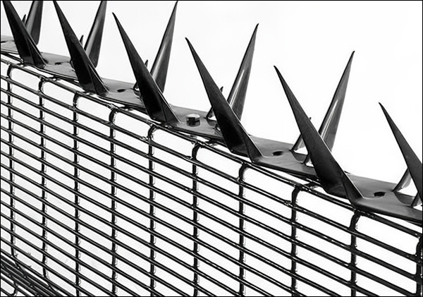 358 Mesh Fence