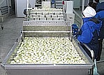 Моечная вентиляторная "барботажная" машина (мойка фруктов и овощей)