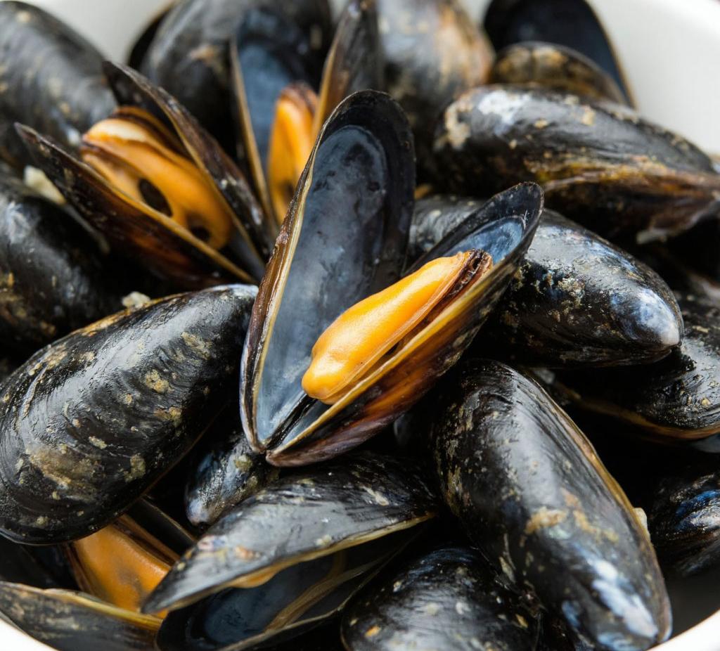 Рыбохозяйственный комплекс Краснодарского края: итоги 2025 года и планы на 2026