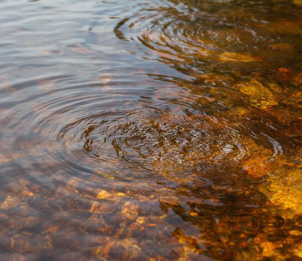 Природный «фильтр» против токсинов: минерал железа поможет очистить загрязнённые почвы