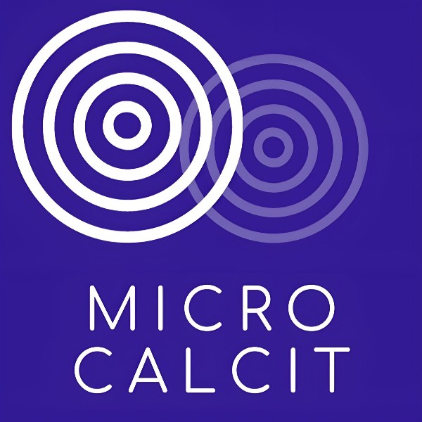Компания «MicroCalcit»
