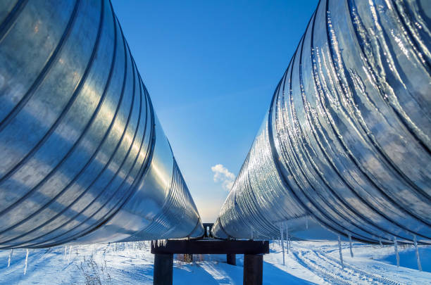 Россия, Китай и Монголия договорились о строительстве нового газопровода