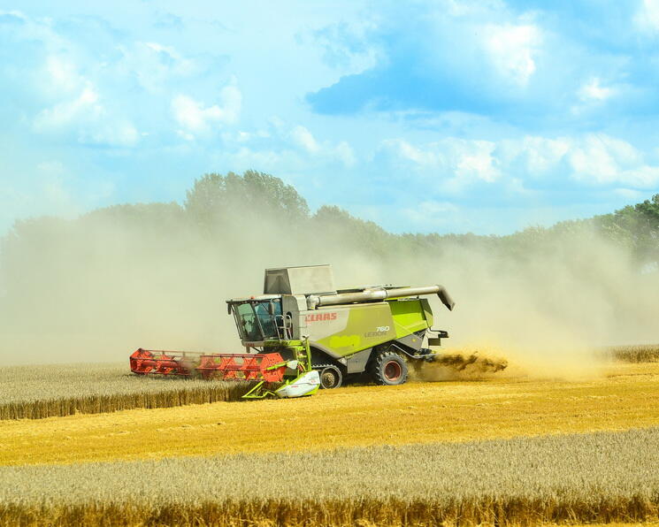 Производство сельхозпродукции в 2022 году выросло на 10,2% Производство сельхозпродукции в 2022 году выросло на 10,2%