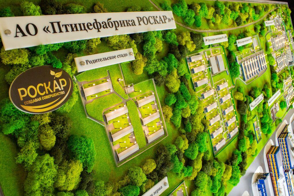 Кейс: промышленный макет птицефабрики «Роскар» Кейс: промышленный макет птицефабрики «Роскар»