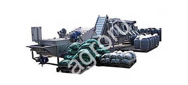 Линия мойки и калибровки огурцов Линия мойки и калибровки огурцов