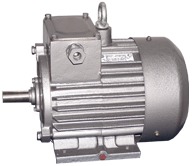 Электродвигатель крановый Электродвигатель крановый