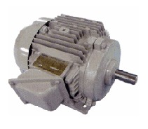 Асинхронные трехфазные двигатели TOSHIBA Асинхронные трехфазные двигатели TOSHIBA