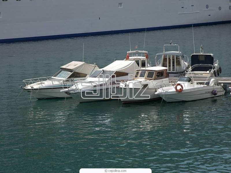 Катера Катера