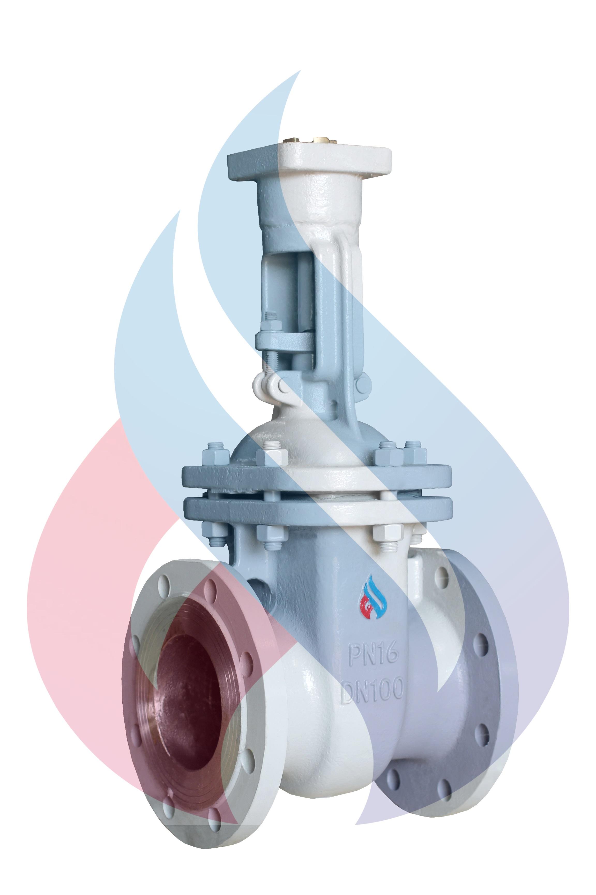 Задвижка 30с941нж 100-16 Задвижка 30с941нж 100-16