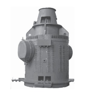 Двигатели синхронные вертикальные серии ДСВ Двигатели синхронные вертикальные серии ДСВ