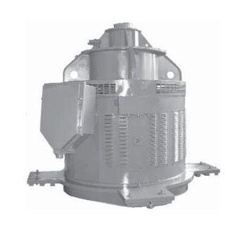 Двигатели асинхронные вертикальные серии ДВАН Двигатели асинхронные вертикальные серии ДВАН