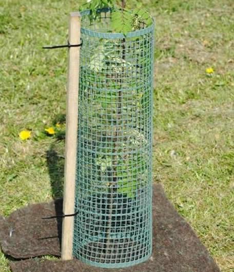 Plastic Mesh Tree Guards Plastic Mesh Tree Guards
